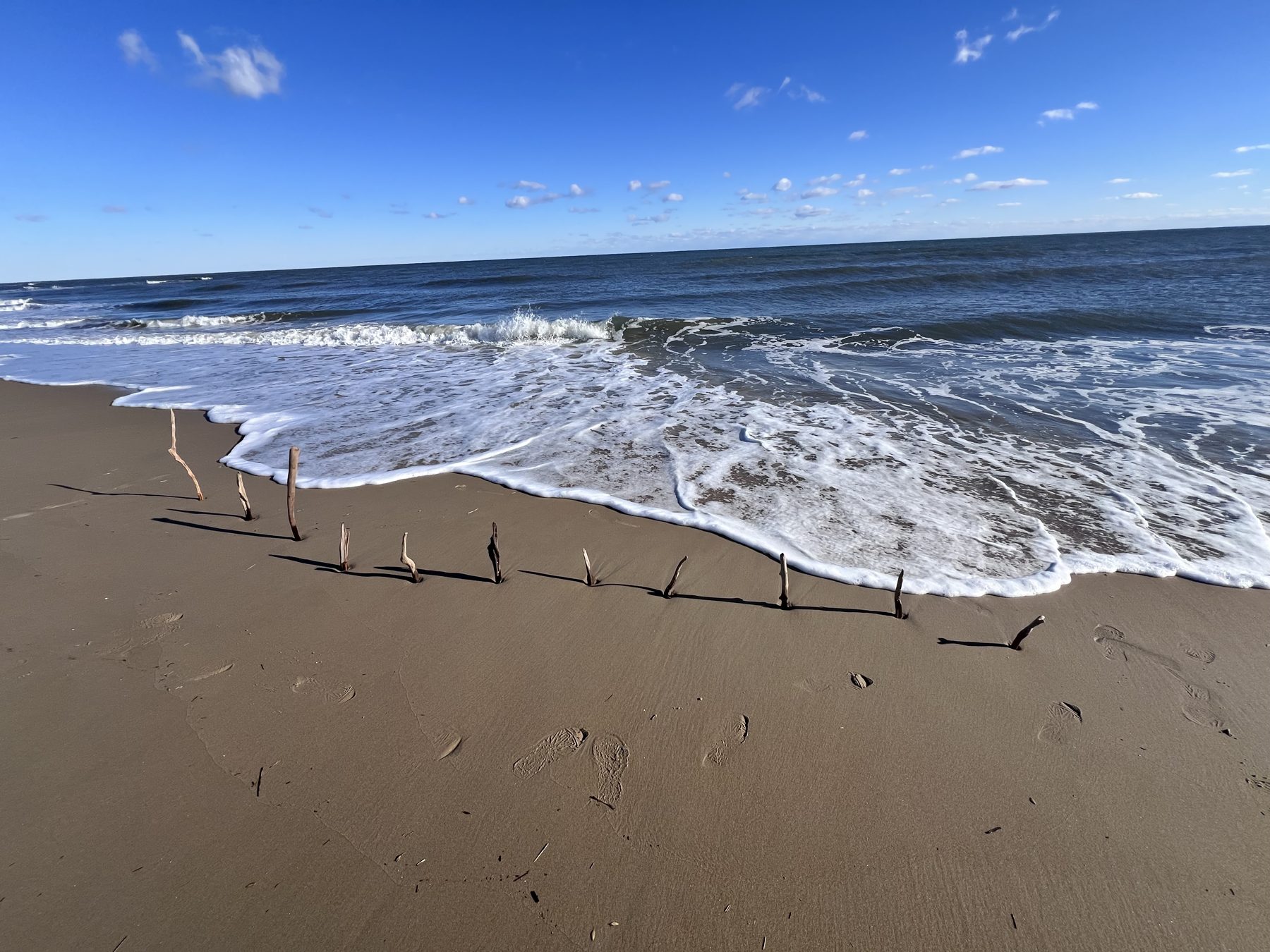 A curving row of sticks along the beach as the tide comes in