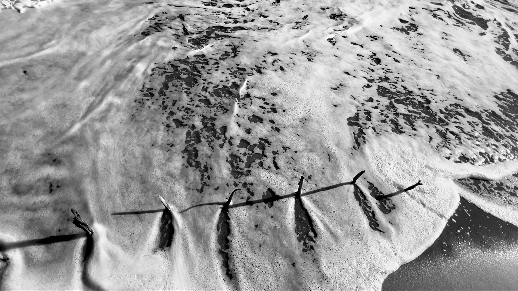 Black and white view of foam threading between sticks on wet sand